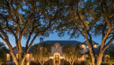 Dramatic tree uplighting highlighting mature trees at night by Chop Chop Landscaping in Stockton, CA