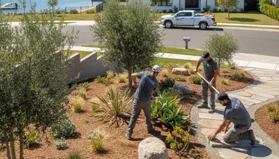 Landscaping services in Stockton, CA for residential and commercial outdoor property maintenance